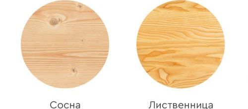 Лиственница или сосна: что лучше